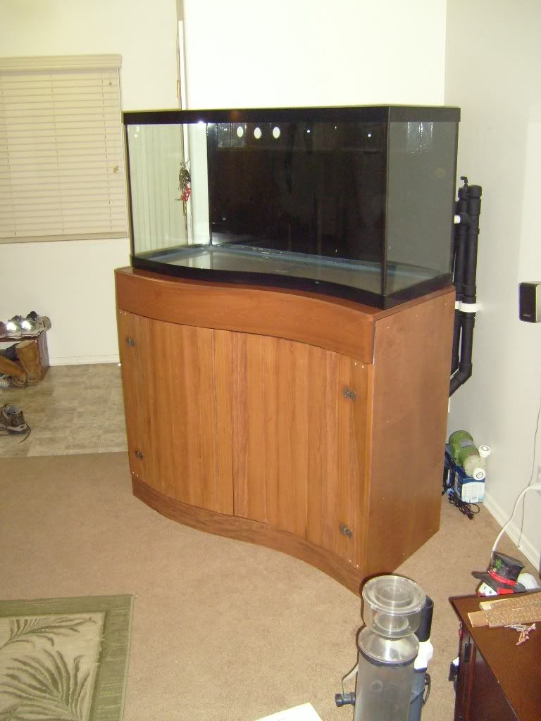 Show me Your Fancy STANDS!!! Page 21 Reef Central Online Community